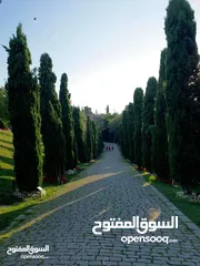  2 ارض سكنية منطقة حشان مساحة 500 واجهة 25