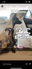  1 بلجين ميلاينو عمر 5 شهور