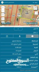  1 ارض للبيع بالمفرق - لواء بلعما - الزنية - تصلح للعمل مزرعة - شاليه - قريبها من الخدمات