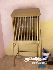  12 فراخ كوكتيل للبيع+قفاص مستعمله شبه جديده جديده قابل للبدل ع كوكتيل شغالات