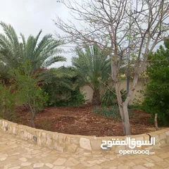  16 مزرعة للبيع بسعر بموقع مميز وسعر مغري ومواصفات راقية