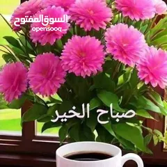  2 شقه للايجار