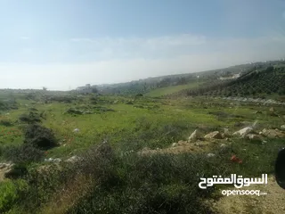  3 أرض سكن ج للبيع في صبحة منطقة فلل