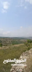  20 مزرعه  صغريه راقيه على قمه جبل مطله للغرب كوشان مستقل بسعر مميز جدا منطقه مزراع راقيه