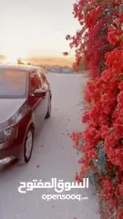  9 skoda fabia اتوماتيك