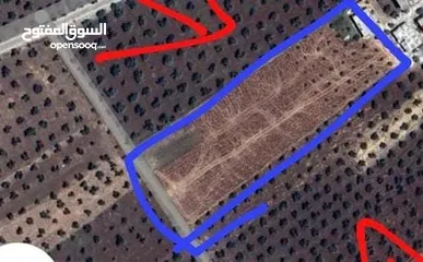  4 أرض للبيع في مكان مميز جداً  ، إذا كنت تبحث عن الإستثمار أو لإقامه سكنيه ، إتَّصل ولا تتردد