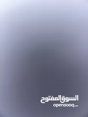  1 مطلوب بطه و صوص صغار