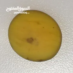  1 حجر كهرمان بورمي طبيعي وزن 4.05 قيراط  natural burma amber stone 4.05 carat