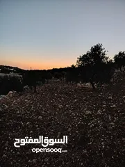  7 ارض للبيع 4300م على القوشان وعلى الواقع 12دونم متواجد بيت مساحة 380 متر طابقين +خزان يتسع50 متر