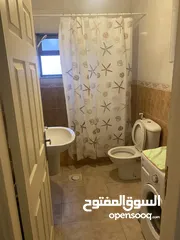  12 شقة عائلية مفروشة للايجار حي الجامعة
