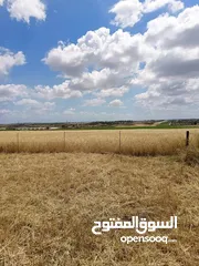 2 ارض للبيع اربد حوارة حوض الخوام الشمالي  قريب من سرايا الشرع و اسطبلات اربد للفروسيه