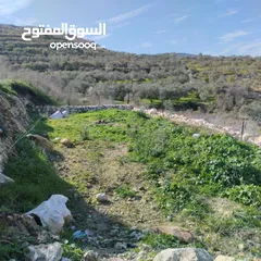  3 ارض للبيع بلعا