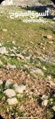  2 اراضي في المساكن الشعبيه نابلس