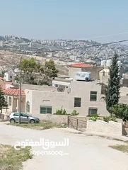  8 ارض مميزه جدا للبيع فورا مطل الجبيهه
