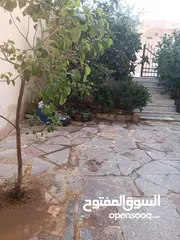  3 شقة بجبل طارق قرب دوار البقيع بسعر مغري