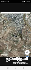 7 ارض للبيع 1 دونم الدمينة خلف الظهير وخلف مسجد العاشوري غرب عمان
