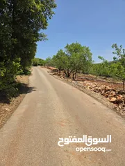  15 مزرعه 2 دونم مزروعه موقع مميز جدا  من مالك مباشر