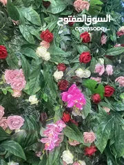  3 شقة للإيجار في منطقة جبل عمان الدوار الأول