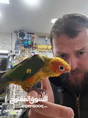  25 نشتري منك بأحسن الأسعار اقرأ الوصف صديقي