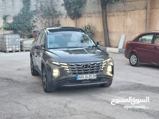  6 حبيبنا المميز هون هنداي هايبريد فل الفل