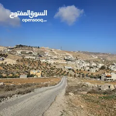  1 مشروع من 9 نمر في ام رمانة حوض معمر فوق شارع الاردن مطعم قصر الجبل بجانب شفا بدران ام اشطيرات المقرن