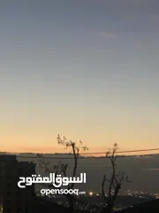  21 شقة سعر حرق من الآخر محدود لحق حالك