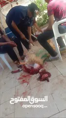  7 كل عام وانتم بخير لحام متنقل لذبح جميع انواع الأضاحي_ونذور للتواصل