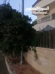  1 شقه سوبر ديلوكس للبيع