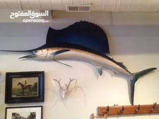  1 ‏Sailfish Mounts by Locally produced