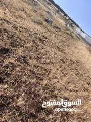  7 الارض مساحتها 1235