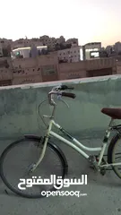  3 بسكليت للبدل على ببغاء الي عندو ما يقصر معنا