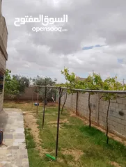  20 يوجد بيت للبيع