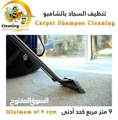  4 Carpet and Sofa Cleaning / Pest control service