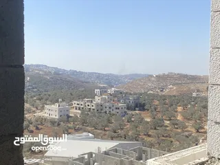  2 شقق عظم جديدة