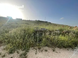  4 أرض للبيع -نابلس - روجيب مساحتها 600 متر