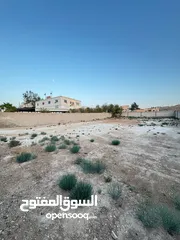  26 بيت مؤجر لوزارة التربية والتعليم