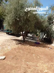  2 ارض مستقله