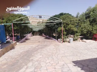  26 مزرعه للايجار في حلتها الجديده/ طريق ياجوز