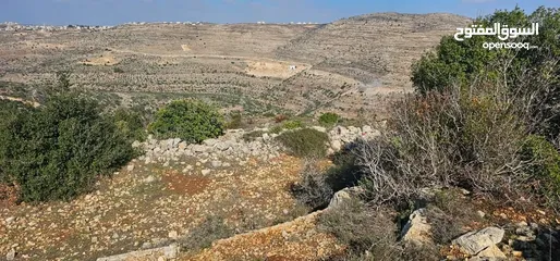  4 قطعة أرض للبيع  في عطارة رام الله