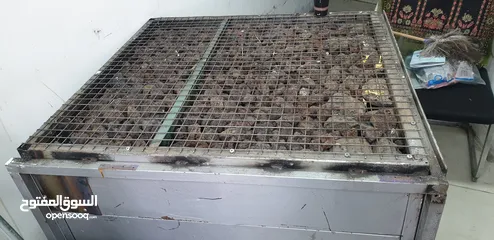  2 جرل شوي على الحجر