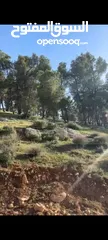  12 ارض مميزه للبيع  3 دونمات ونصف ارض مرتفعه مطله منطقه امنه  قطعة الارض تصلح  لبناء مزرعة او شاليه