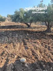  1 ارض للبيع في عزبة ابو خميش