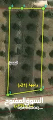  1 1027متر  - اراضي الحصن - راكسة وام الهوا - قرب طريق البترول