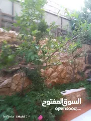  3 شبك حديقه منزليه