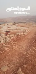  5 ارض مطله للبيع