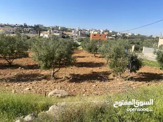 14 قطعتان ارض للبيع احدهما تجاري و الاخرى سكني ب على مدخل ذيبان /مادبا