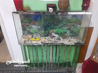  2 حوض سمك ارتفاع مترين عرض 140