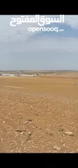  8 للبيع أرض 806 م الذهيبه الغربيه قرب مشروع الشهد 4
