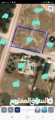  24 حوض 17 طبول كوتيه مساحة الأرض 1037م2 على شارعين بأعلى اطلاله للحوض صخريه منطقة فلل واجهة  القطعة 25