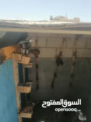  23 حمام للبيع